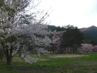 030.JPG