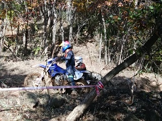 DSC_0037.jpg